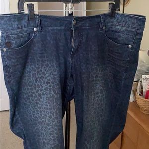 Torrid Jeans